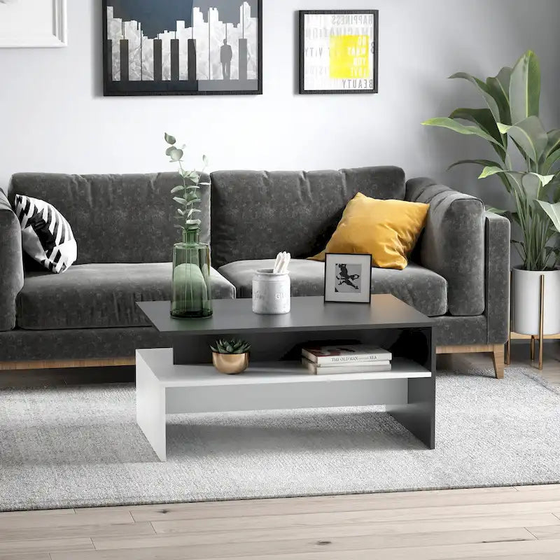 Modern Coffee Table, 2-tier Rectangular Center Table with Storage Shelves for Living Room, Black/White