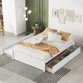 Fill Bed with Twin Size Trundle