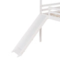 Loft Bed with Slide