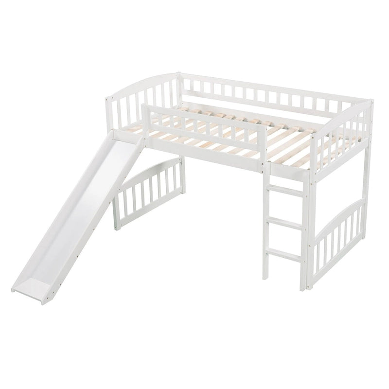 Loft Bed with Slide and Ladder